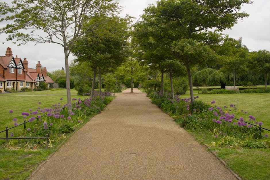 A paved pathway in a landscaped garden lined with evenly spaced young trees with green foliage, their branches extending overhead to form a partial canopy. Flanking the path are flower beds filled wit